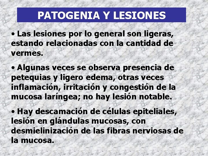 PATOGENIA Y LESIONES • Las lesiones por lo general son ligeras, estando relacionadas con