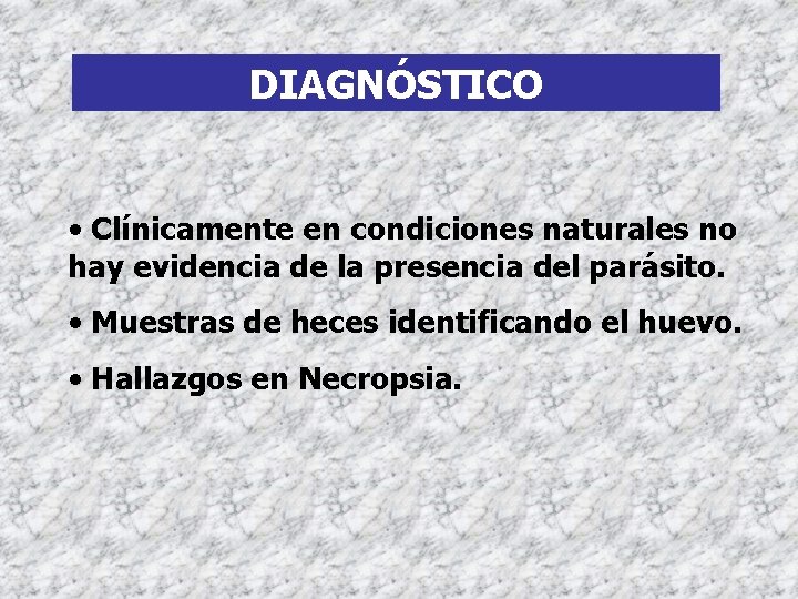 DIAGNÓSTICO • Clínicamente en condiciones naturales no hay evidencia de la presencia del parásito.