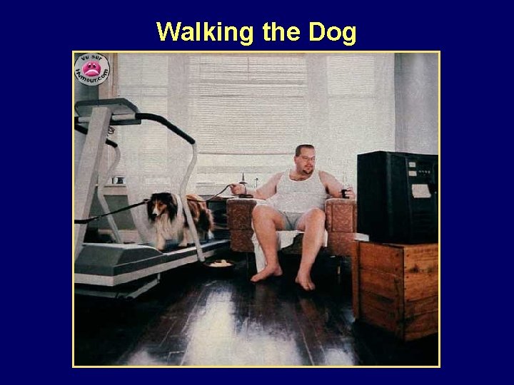Walking the Dog 