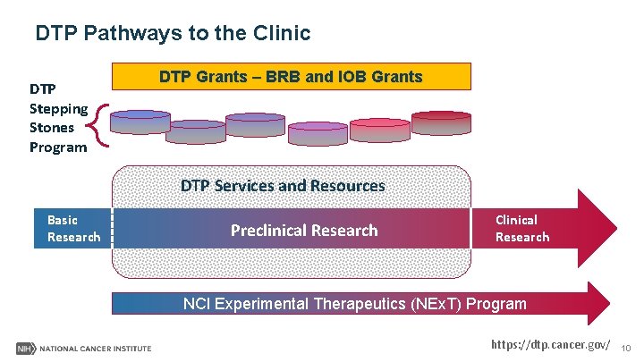 DTP Pathways to the Clinic DTP Stepping Stones Program DTP Grants – BRB and