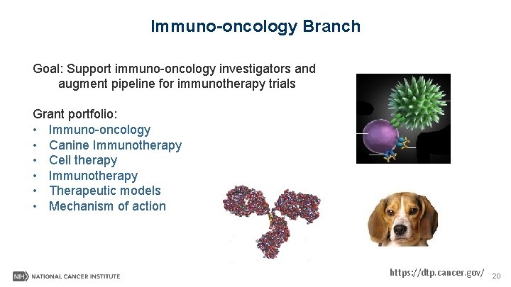 Immuno-oncology Branch Goal: Support immuno-oncology investigators and augment pipeline for immunotherapy trials Grant portfolio: