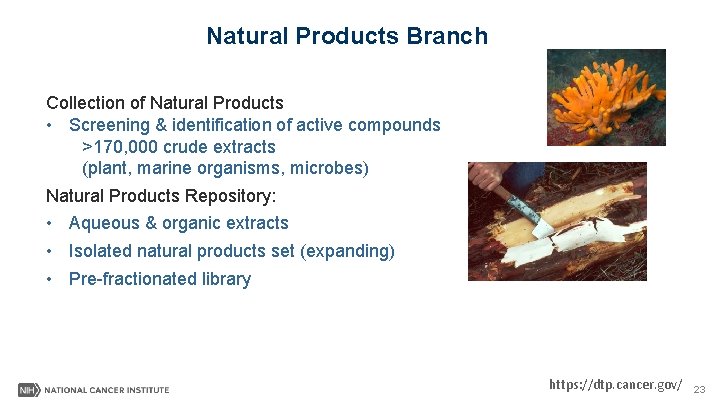 Natural Products Branch Collection of Natural Products • Screening & identification of active compounds