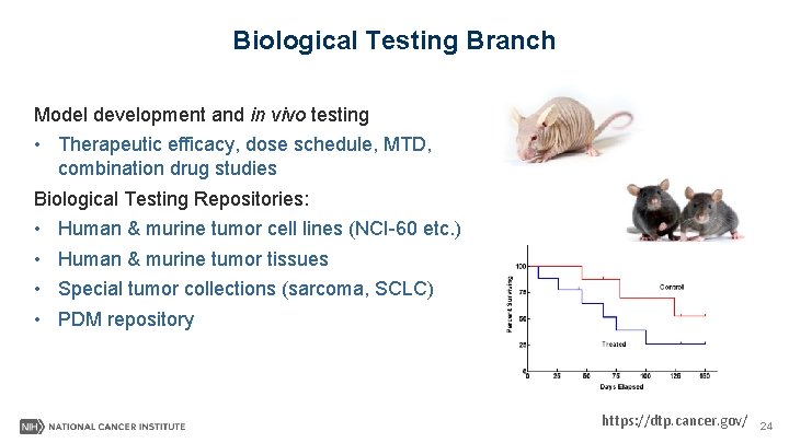 Biological Testing Branch Model development and in vivo testing • Therapeutic efficacy, dose schedule,