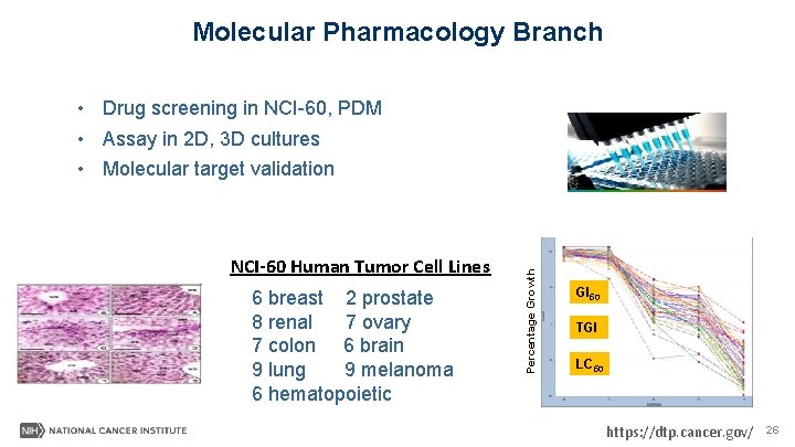 Molecular Pharmacology Branch NCI-60 Human Tumor Cell Lines 6 breast 2 prostate 8 renal