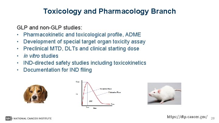 Toxicology and Pharmacology Branch GLP and non-GLP studies: • Pharmacokinetic and toxicological profile, ADME