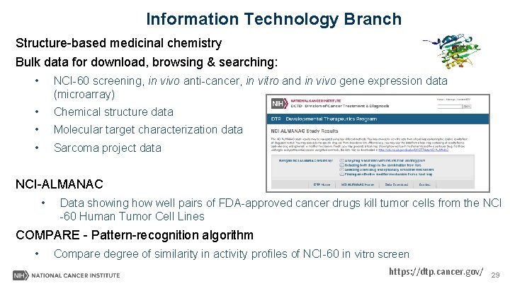 Information Technology Branch Structure-based medicinal chemistry Bulk data for download, browsing & searching: •