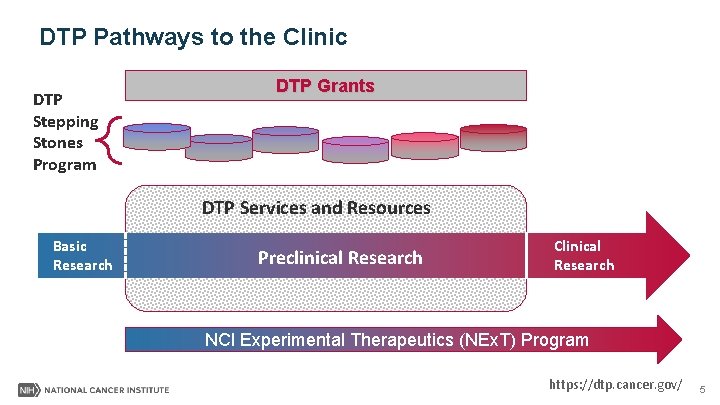 DTP Pathways to the Clinic DTP Stepping Stones Program DTP Grants DTP Services and