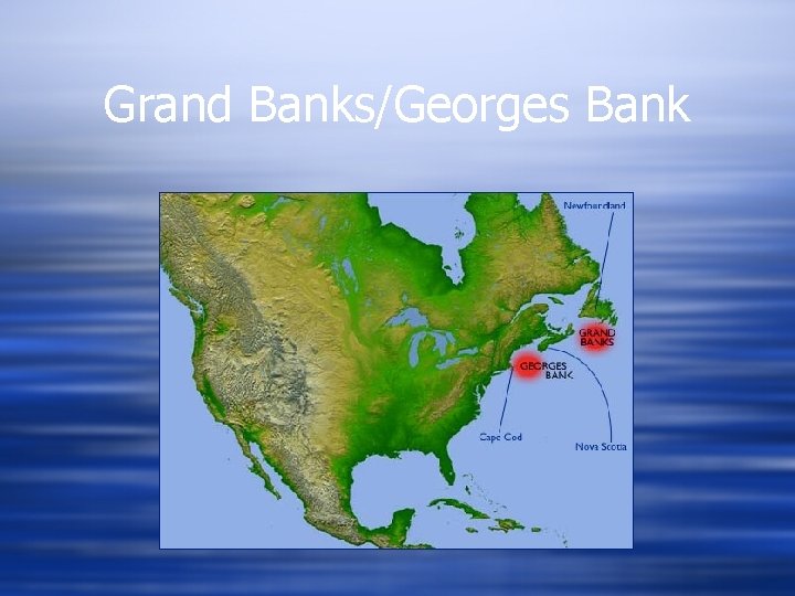 Grand Banks/Georges Bank 