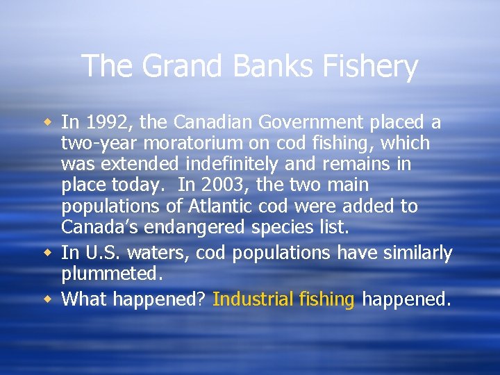 The Grand Banks Fishery w In 1992, the Canadian Government placed a two-year moratorium