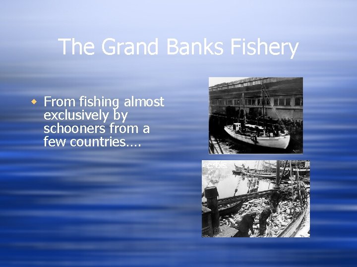 The Grand Banks Fishery w From fishing almost exclusively by schooners from a few