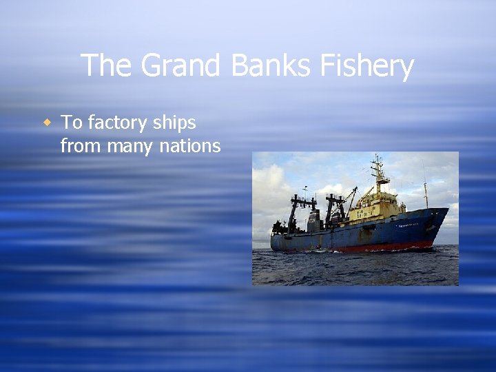 The Grand Banks Fishery w To factory ships from many nations 