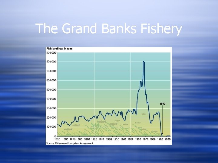 The Grand Banks Fishery 