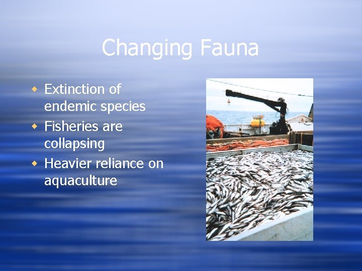 Changing Fauna w Extinction of endemic species w Fisheries are collapsing w Heavier reliance