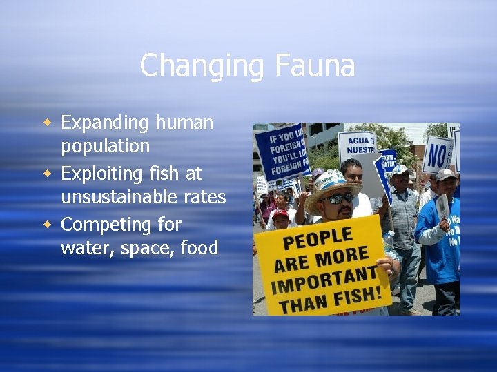 Changing Fauna w Expanding human population w Exploiting fish at unsustainable rates w Competing