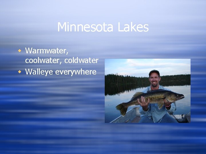 Minnesota Lakes w Warmwater, coolwater, coldwater w Walleye everywhere 