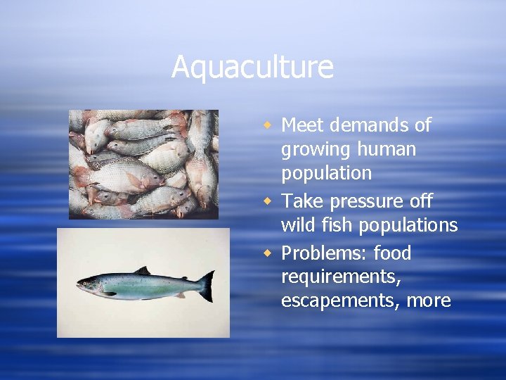 Aquaculture w Meet demands of growing human population w Take pressure off wild fish