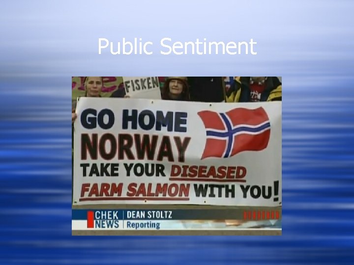 Public Sentiment 