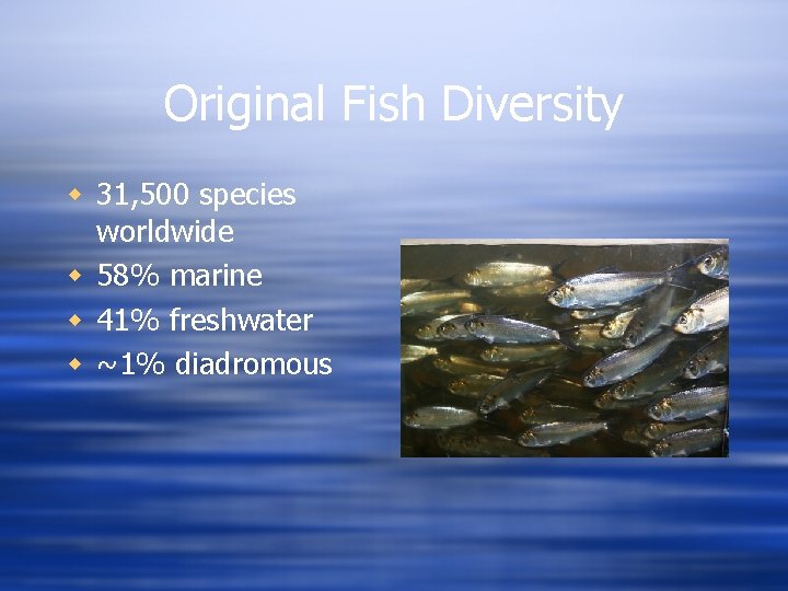 Original Fish Diversity w 31, 500 species worldwide w 58% marine w 41% freshwater