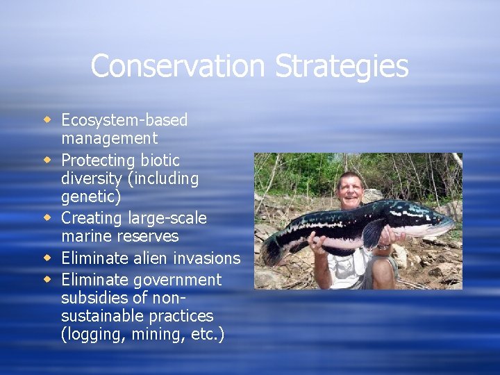 Conservation Strategies w Ecosystem-based management w Protecting biotic diversity (including genetic) w Creating large-scale