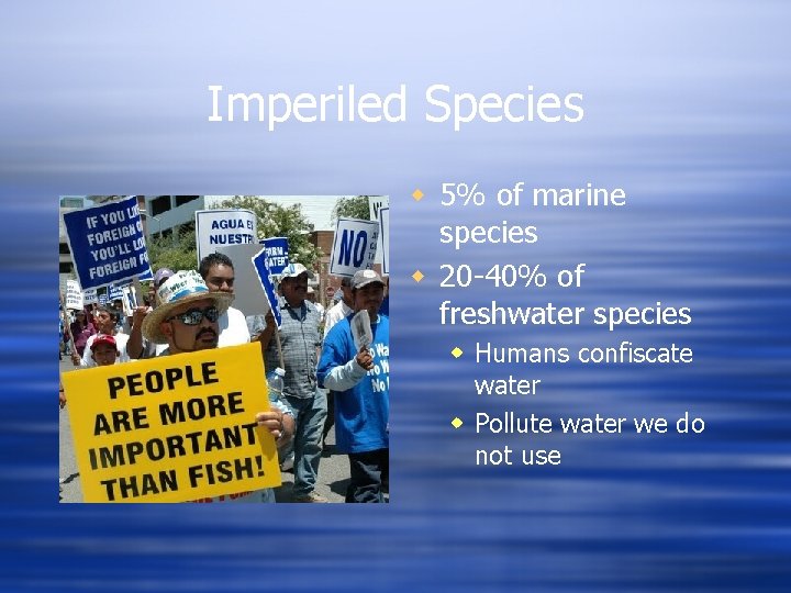 Imperiled Species w 5% of marine species w 20 -40% of freshwater species w