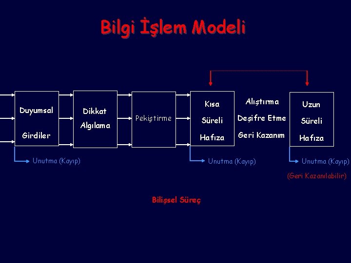 Bilgi İşlem Modeli Duyumsal Girdiler Dikkat Algılama Kısa Alıştırma Uzun Süreli Deşifre Etme Süreli