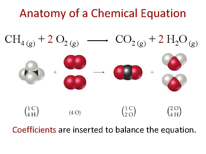 Anatomy of a Chemical Equation CH 4 (g) + 2 O 2 (g) CO