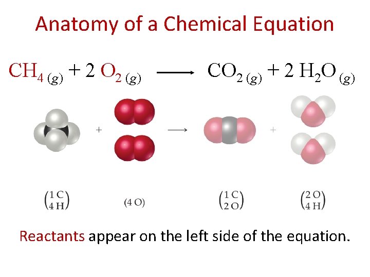 Anatomy of a Chemical Equation CH 4 (g) + 2 O 2 (g) CO