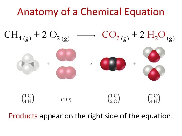 Anatomy of a Chemical Equation CH 4 (g) + 2 O 2 (g) CO