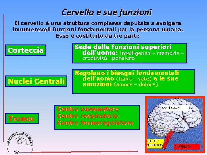 Cervello e sue funzioni Il cervello è una struttura complessa deputata a svolgere innumerevoli