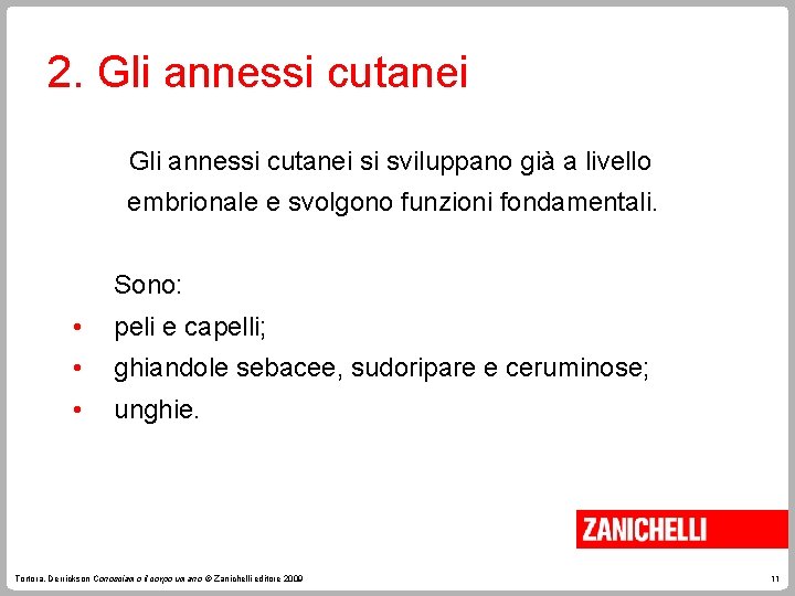 2. Gli annessi cutanei si sviluppano già a livello embrionale e svolgono funzioni fondamentali. 2. Gli annessi cutanei si sviluppano già a livello embrionale e svolgono funzioni fondamentali.
