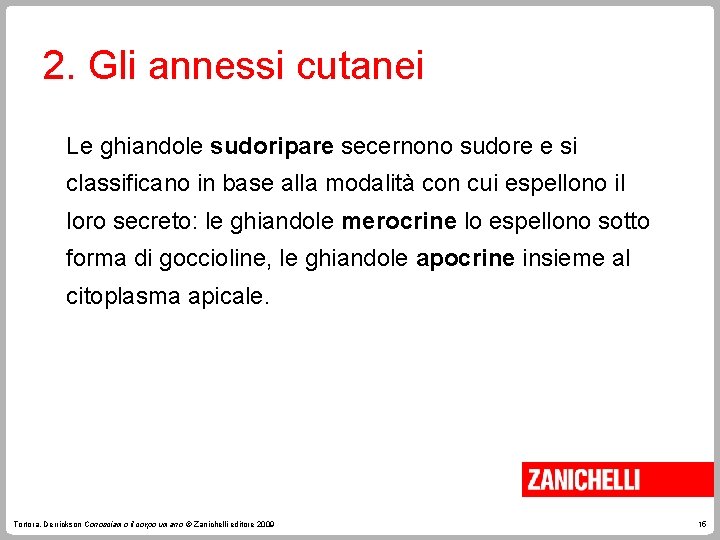 2. Gli annessi cutanei Le ghiandole sudoripare secernono sudore e si classificano in base 2. Gli annessi cutanei Le ghiandole sudoripare secernono sudore e si classificano in base