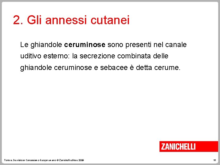 2. Gli annessi cutanei Le ghiandole ceruminose sono presenti nel canale uditivo esterno: la 2. Gli annessi cutanei Le ghiandole ceruminose sono presenti nel canale uditivo esterno: la