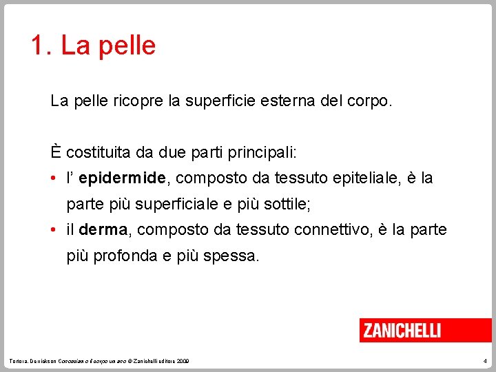 1. La pelle ricopre la superficie esterna del corpo. È costituita da due parti 1. La pelle ricopre la superficie esterna del corpo. È costituita da due parti