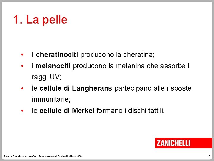 1. La pelle • I cheratinociti producono la cheratina; • i melanociti producono la 1. La pelle • I cheratinociti producono la cheratina; • i melanociti producono la