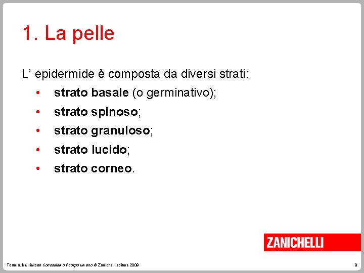 1. La pelle L’ epidermide è composta da diversi strati: • strato basale (o 1. La pelle L’ epidermide è composta da diversi strati: • strato basale (o