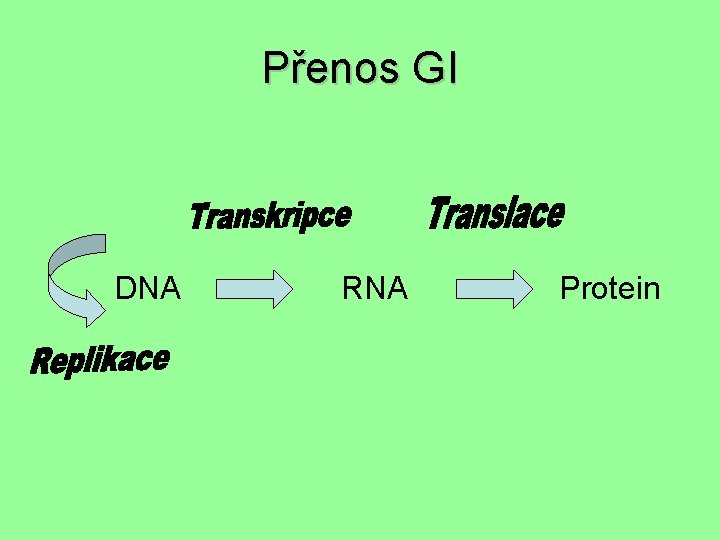 Přenos GI DNA RNA Protein 