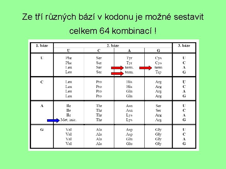 Ze tří různých bází v kodonu je možné sestavit celkem 64 kombinací ! 