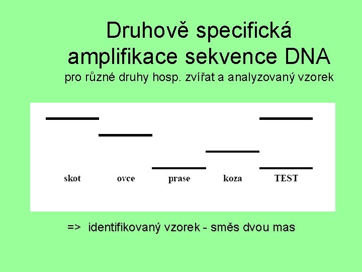 Druhově specifická amplifikace sekvence DNA pro různé druhy hosp. zvířat a analyzovaný vzorek =>