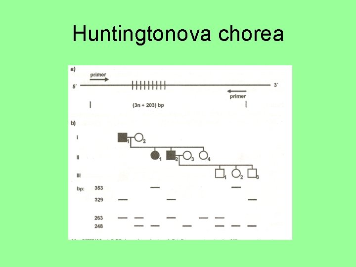 Huntingtonova chorea 