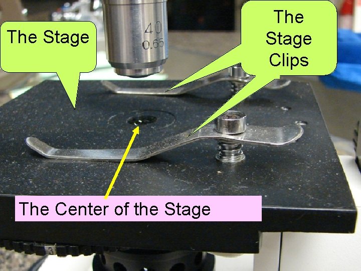 The Stage The Center of the Stage The Stage Clips 