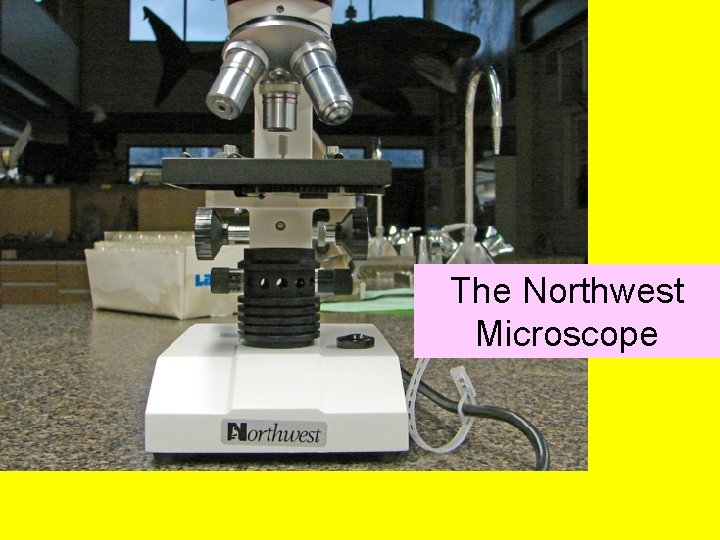 The Northwest Microscope 