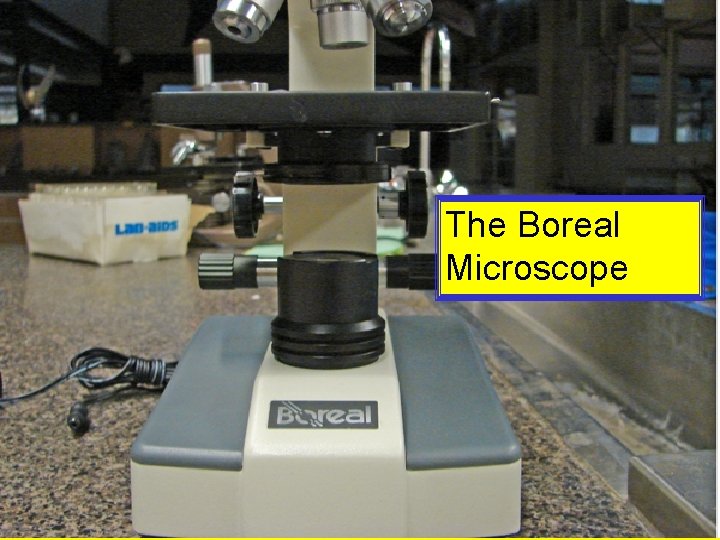 The Boreal Microscope 