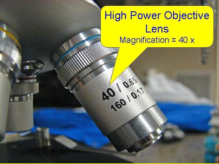 High Power Objective Lens Magnification = 40 x 