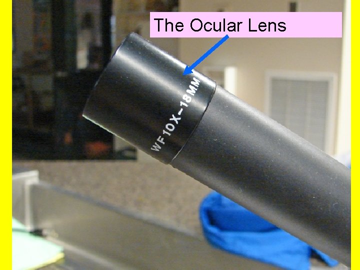 The Ocular Lens 