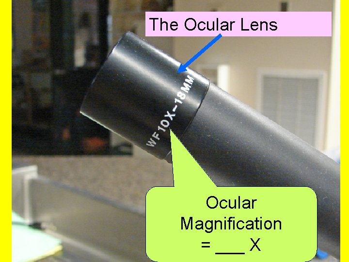 The Ocular Lens Ocular Magnification = ___ X 