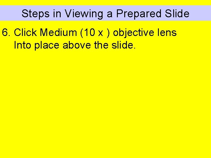 Steps in Viewing a Prepared Slide 6. Click Medium (10 x ) objective lens