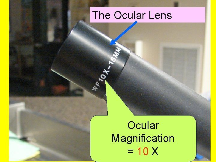 The Ocular Lens Ocular Magnification = 10 X 