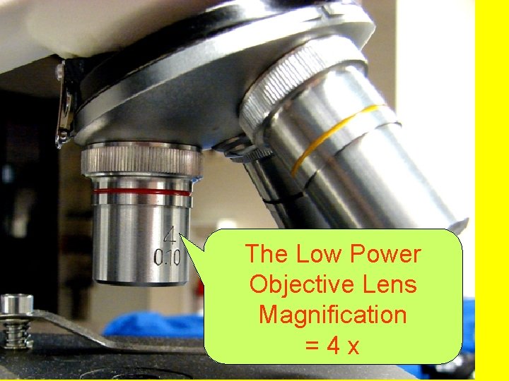 The Low Power Objective Lens Magnification =4 x 