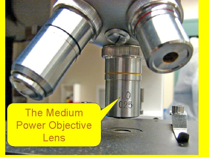 The Medium Power Objective Lens 