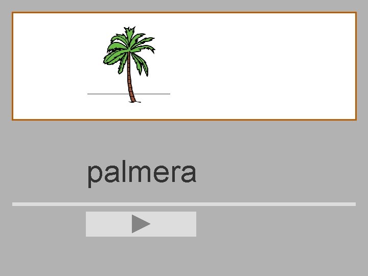 palmera 